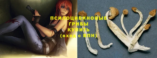 гашик Алексеевка