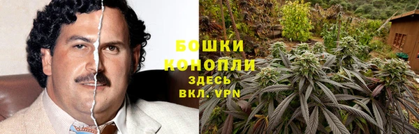 гашик Алексеевка