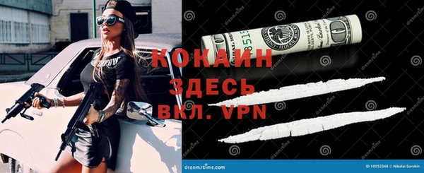 твердый Алексин